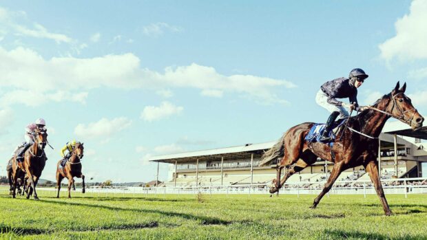A horse racing scene shows jockeys riding horses on a racecourse under a clear sky, HD Desktop Wallpaper