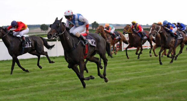 A group of jockeys riding horses fiercely competing on the grass racecourse in a horse racing event, 2K Desktop Wallpaper