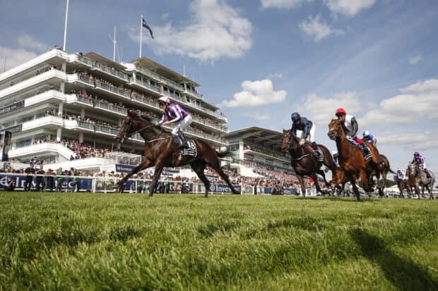 A horse racing event with jockeys competing on a grass track in front of a packed grandstand, 2K Desktop Wallpaper