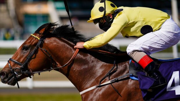 A jockey in yellow gear riding a brown horse during a horse racing event, HD Desktop Wallpaper