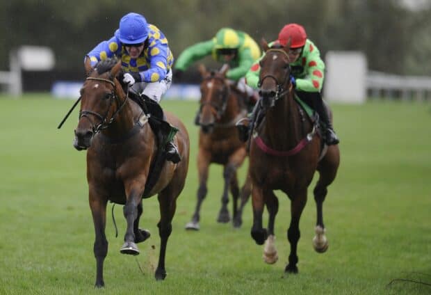 A horse race shows jockeys in vibrant gear riding horses on a grassy track, 2K Desktop Wallpaper
