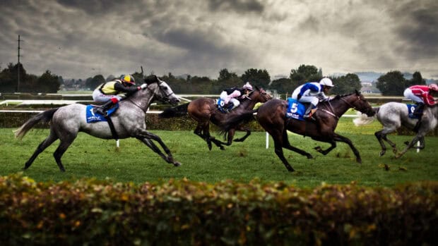 Jockeys riding horses during eventing competition on grassy field, 4K Desktop Wallpaper