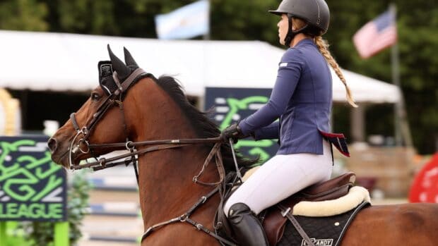 A female horseback rider in blue jacket controls a brown horse during an eventing competition, HD Desktop Wallpaper