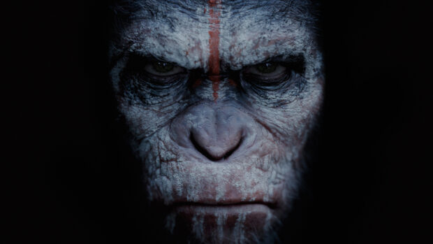 The image shows an intense closeup of an ape face from Planet Of The Apes, 4K Desktop Wallpaper