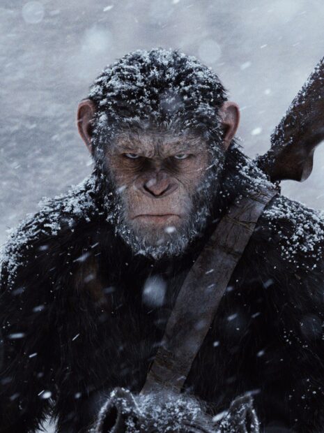 A close up of a determined ape covered in snow in a cold wilderness setting from Planet Of The Apes Wallpapers, HD Mobile Wallpaper