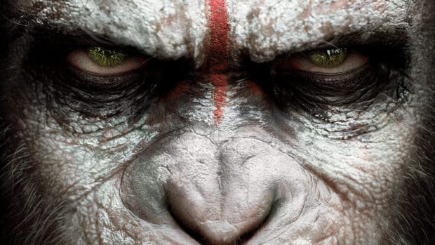 A closeup of an ape's face with green eyes and a red stripe on its forehead in Planet Of The Apes Wallpapers, HD Desktop Wallpaper