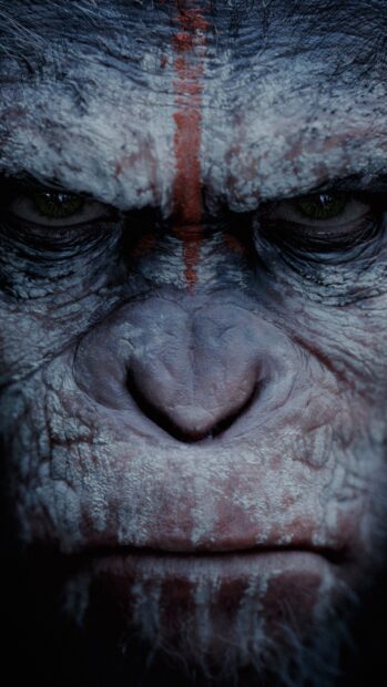 A close up of an ape with tribal paint showing intense emotion in Planet Of The Apes wallpapers, 2K Mobile Wallpaper