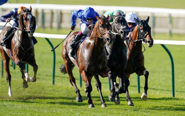 The image shows several horses with jockeys racing fiercely on a grass track, capturing the energy of horse racing, HD Desktop Wallpaper