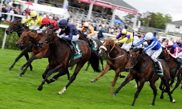 A group of jockeys riding horses in an intense horse racing competition, 2K Desktop Wallpaper