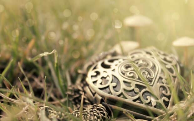 A close up of a heart shaped jewelry piece with intricate patterns resting on grass, 2K Desktop Wallpaper