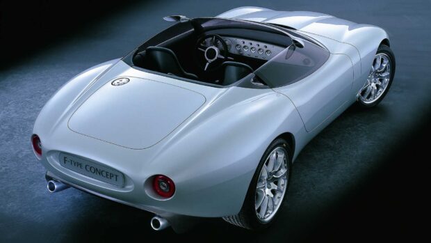 A silver Jaguar F Type car is shown from the rear with a sleek design and open cockpit, HD Desktop Wallpaper