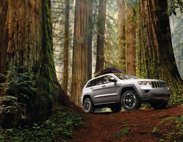 A silver Jeep Grand Cherokee is parked on a forest trail surrounded by giant trees, HD Desktop Wallpaper
