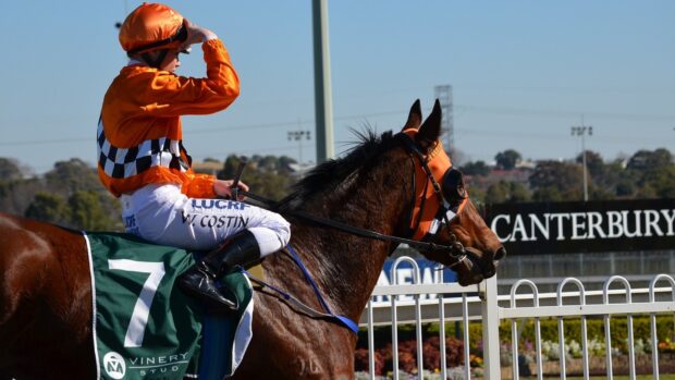 A jockey in orange gear is sitting on a brown horse before the race starts at Canterbury racecourse, HD Desktop Wallpaper