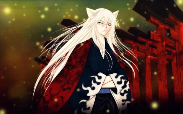 A character with white hair and fox ears wearing traditional attire stands before red torii gates at night, HD Desktop Wallpaper