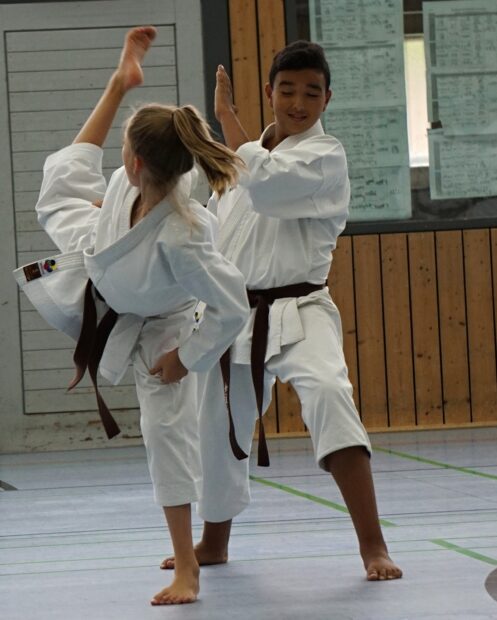 Two karate athletes practicing high kicks during training in a gym, HD Mobile Wallpaper