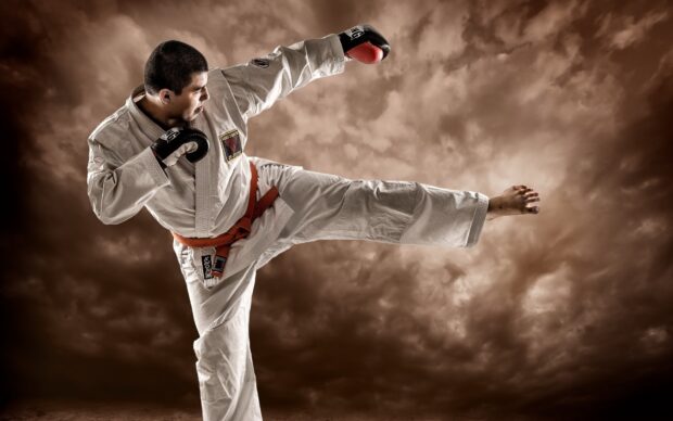 A karate fighter executes a powerful high kick against a dramatic cloudy sky, HD Desktop Wallpaper