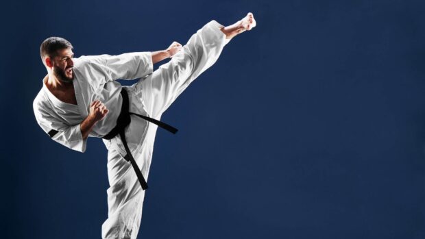 A karate fighter is shown executing a powerful high kick against a dark blue background, HD Desktop Wallpaper