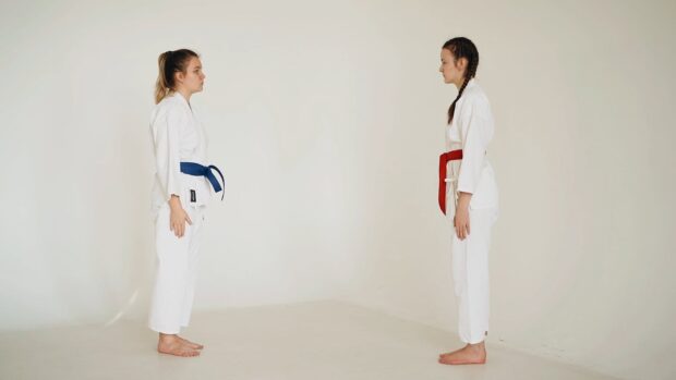 Two karate practitioners with blue and red belts standing in a room, HD Desktop Wallpaper