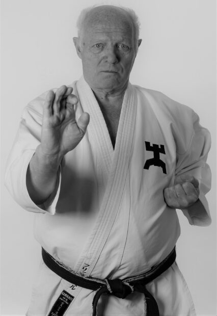 An elderly man practices karate with focus and discipline, 2K Desktop Wallpaper