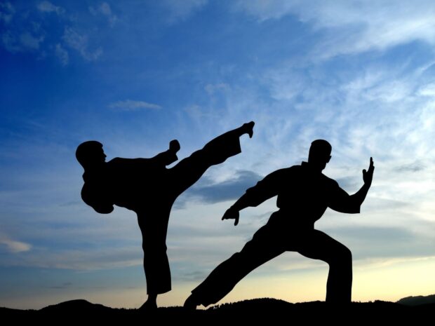 Two karate practitioners training martial arts moves at sunset, HD Desktop Wallpaper