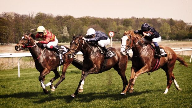 Jockeys competing in the Kentucky Derby horse race on a grassy track, HD Desktop Wallpaper