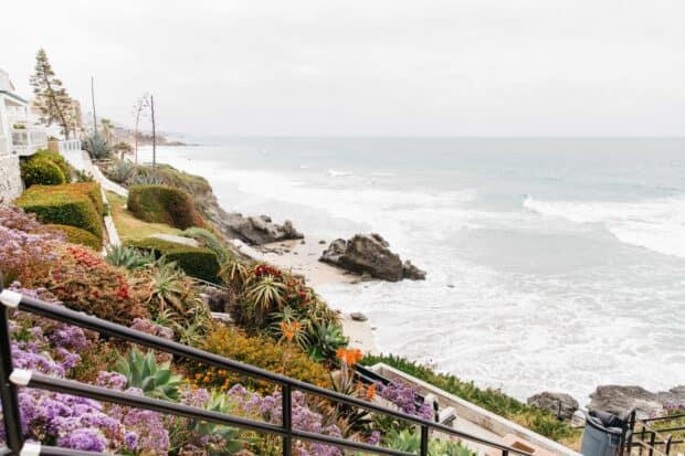 A scenic view of the Laguna Beach coastline with vibrant flowers and ocean waves, HD Desktop Wallpaper