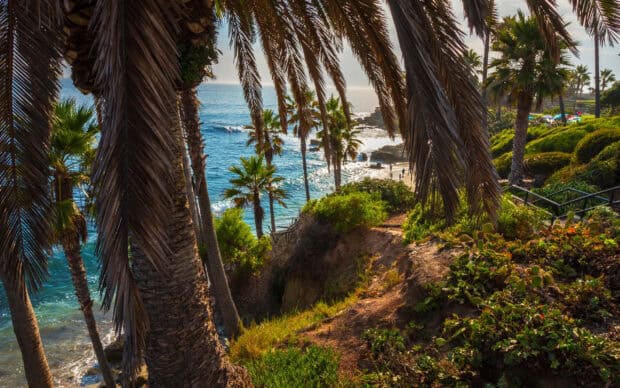 A scenic view of Laguna Beach with palm trees and ocean waves, 2K Desktop Wallpaper