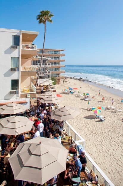 People enjoying food under umbrellas at Laguna Beach, HD Mobile Wallpaper