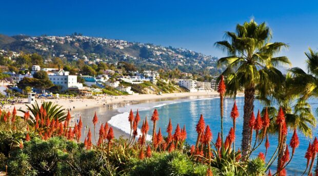 A scenic view of Laguna Beach with red flowers and palm trees in the foreground, HD Desktop Wallpaper