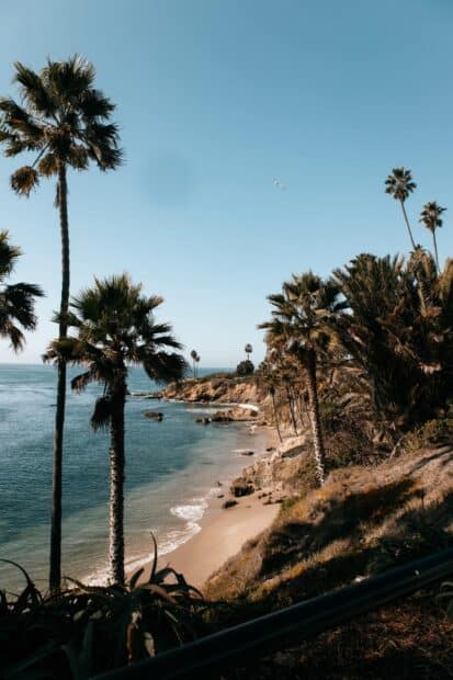 A scenic view of Laguna Beach with palm trees and clear blue sky, 2K Mobile Wallpaper