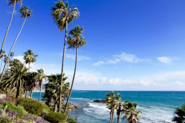 A clear bright day at Laguna Beach with palm trees and ocean waves, HD Desktop Wallpaper