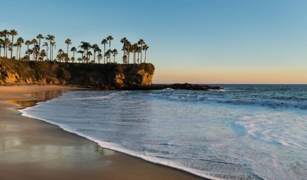 The Laguna Beach features a calm shoreline with palm trees and gentle waves during sunset, HD Desktop Wallpaper