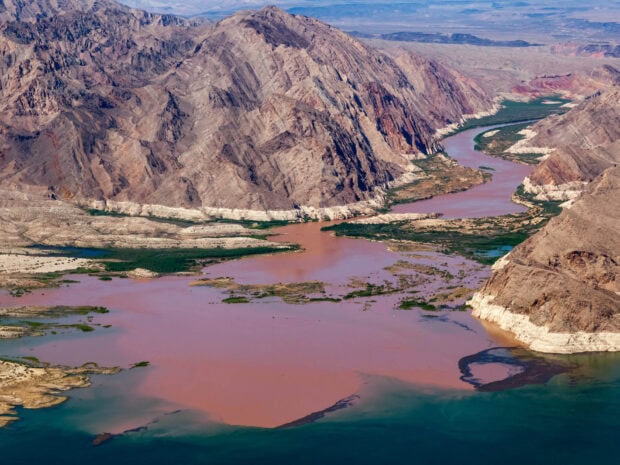 Lake Mead shows a winding river through rocky mountains and green vegetation, HD Desktop Wallpaper