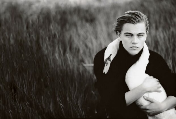 Leonardo Dicaprio holding a white swan in a field with a serious expression, HD Desktop Wallpaper