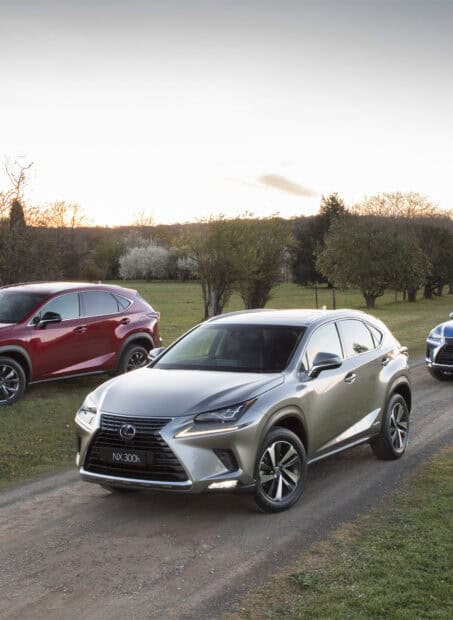 A silver Lexus Nx 300h is parked on a dirt road surrounded by trees and other cars, HD Mobile Wallpaper