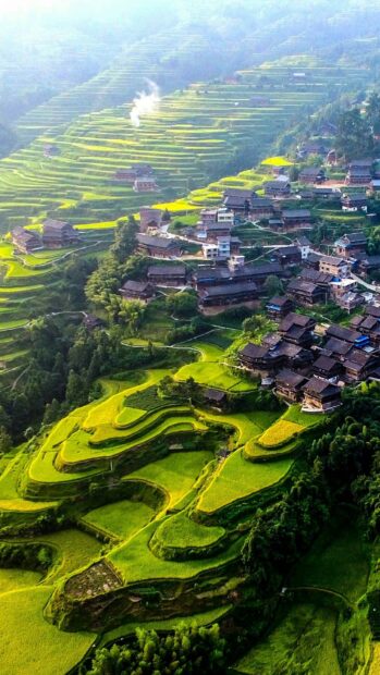 The Banaue rice terraces are lush and surround traditional houses in the mountains, HD Mobile Wallpaper