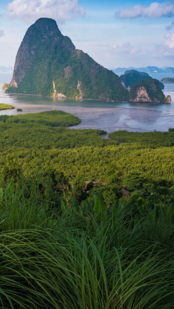 This view of Phuket features lush green foliage and towering limestone cliffs by the sea, HD Mobile Wallpaper