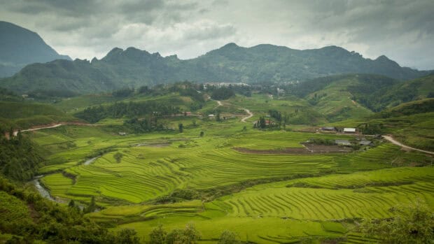 Vietnam Wallpapers in green fields, 4K Desktop Wallpaper