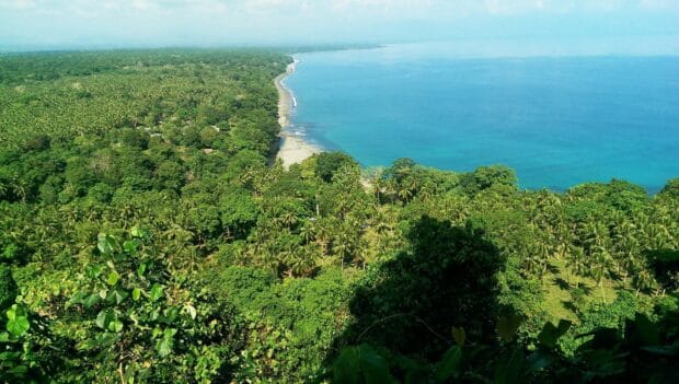 A scenic view of lush forest and ocean shoreline in Espiritu Santo Vanuatu, HD Desktop Wallpaper