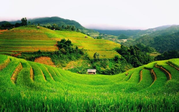 The serene Vietnam Wallpapers rice terraces stretch across the mountain slopes under a misty sky, HD Desktop Wallpaper
