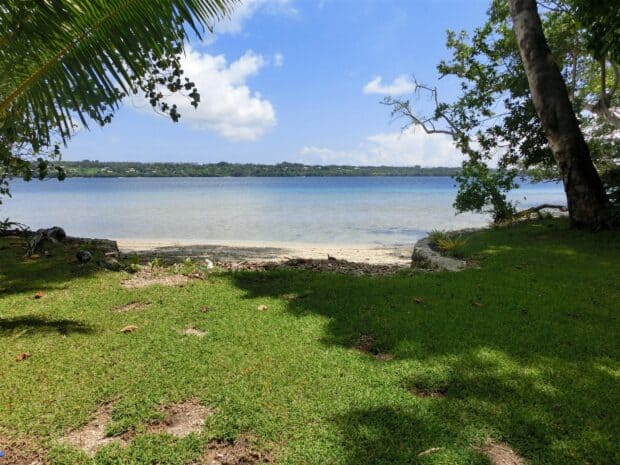 The photo shows lush greenery by the calm water in Espiritu Santo Vanuatu, HD Desktop Wallpaper