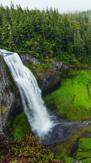A stunning waterfall surrounded by lush green forest in Yellowstone National Park, 4K Mobile Wallpaper