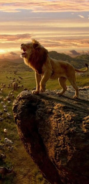 The Lion King Wallpapers, 2K Mobile Wallpaper