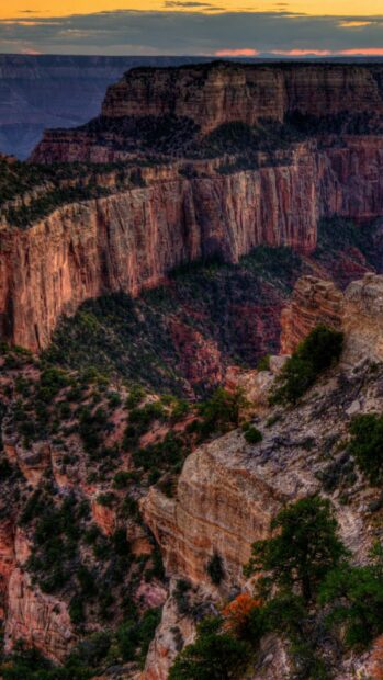 The Grand Canyon cliffs display vibrant colors during sunset with scattered trees, HD Phone Wallpaper