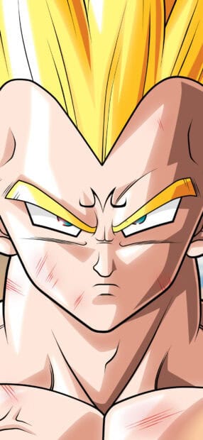 The image features Majin Vegeta with a serious expression and iconic golden hair, HD Phone Wallpaper