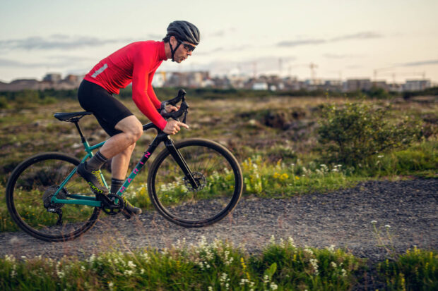 A cyclist rides a Marin bike on a gravel trail through a field of wildflowers, HD Desktop Wallpaper