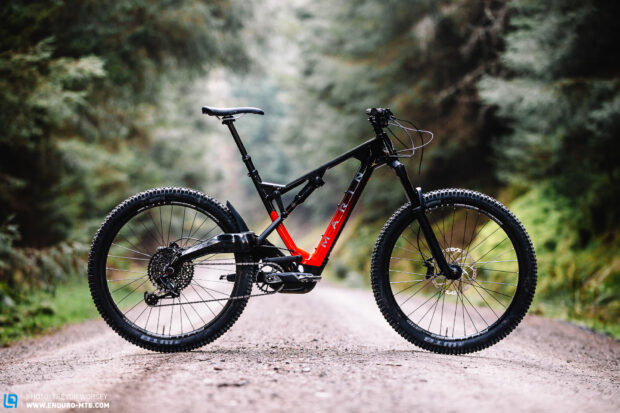 A Marin bike stands on a dirt path surrounded by lush green trees, HD Desktop Wallpaper