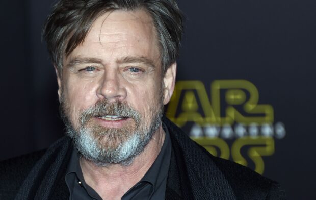 Mark Hamill is attending a Star Wars event with a beard and dark coat, 2K Desktop Wallpaper