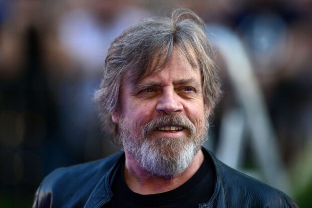 Mark Hamill smiles with a beard and gray hair in a candid moment, HD Desktop Wallpaper
