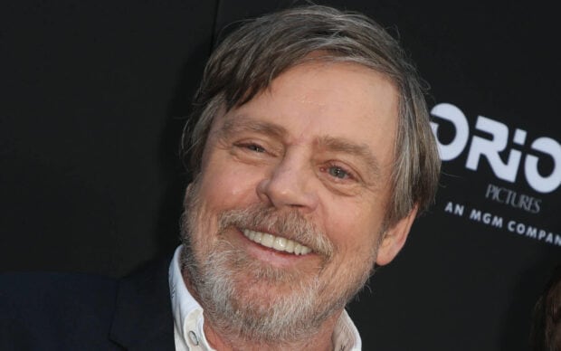 Mark Hamill smiles warmly at the camera during an event, HD Desktop Wallpaper